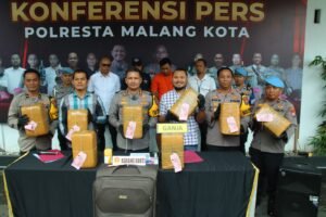 Polresta Malang Kota Berhasil Amankan Kurir Bawa 42 Kg Ganja Nyamar Pemudik 