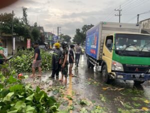 Pohon Tumbang Di Kec. Ngadiluwih Kediri Akibat Hujan Lebat Dan Angin Kencang Anggota Unit Turjagwali Lakukan Pengaturan Lalulintas