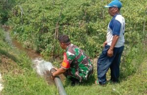 Babinsa Komsos Dengan Petani, Sebagai Wujud Kepedulian Guna Meningkatkan Hasil Pertanian
