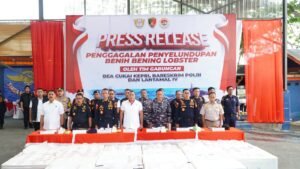 DIRKRIMSUS POLDA KEPRI HADIRI KEGIATAN KONFERENSI PERS PENYELUDUPAN BENIH BENING LOBSTER SEBANYAK 237.305 BENIH BENING LOBSTER SENILAI 23,6 MILIAR RUPIAH