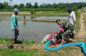 Babinsa Nglegok Dan Poktan Sido Makmur 1 Pastikan Ketersediaan Air Dengan Pompanisasi