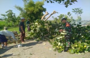 Wujudkan Lingkungan Bersih, Babinsa Sumbersari Ajak Warga Gotong Royong Bersihkan Jalan Desa