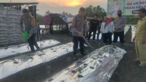 Polres Gresik bersama Warga Tani Wujudkan Ketahanan Pangan Tanam Ribuan Bibit Cabai di Menganti