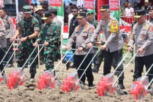 Kapolri Bersama Panglima TNI Tanam Jagung di Sidoarjo, Tandai Peluncuran Gugus Tugas Polri Dukung Ketahanan Pangan