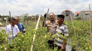 Upaya Polresta Malang Kota bersama Pemkot Wujudkan Ketahanan Pangan di Tengah Keterbatasan Lahan