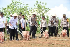 Manfaatkan Lahan Kritis, Polres Bondowoso Bersama Kodim 0822 Tanam Jagung Gelorakan Swasembada Pangan