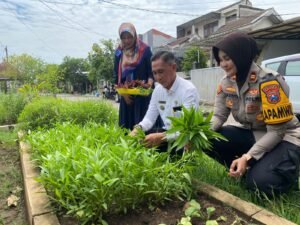 Polsek Sedati Siapkan Pekarangan Pangan Bergizi di Desa Buncitan