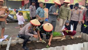 Penyerahan Bibit Tanaman dan Penyuluhan Ketahanan Pangan di Tambak Kalisogo Jabon