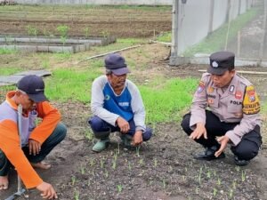 Bhabinkamtibmas Desa Bakung Temenggungan Pantau Pekarangan Pangan Bergizi 