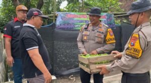 Kapolsek Balongbendo Serahkan 400 Bibit Tanaman untuk Pekarangan Bergizi Desa Kemangsen 