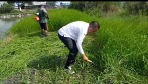 Kapolsek Krian Bersama Perangkat Desa Ponokawan Gelar Kerja Bakti Buka Lahan untuk Budidaya Jagung