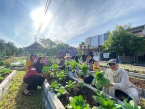 Kapolsek Sedati Bersama Warga Desa Buncitan Panen Sayur di Pekarangan Pangan Bergizi