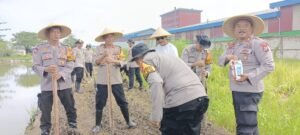 Kapolsek Krian Bersama Kades dan Warga Desa Ponokawan Gelar Penanaman Bibit Jagung untuk Peningkatan Ketahanan Pangan