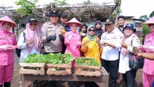 Polsek Taman – Pemdes Sambibulu Bercocok Tanam Terong dan Cabe