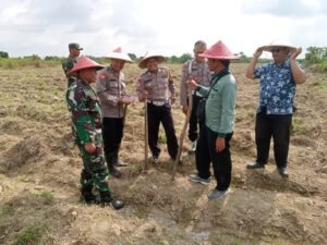 Dukung Ketahanan Pangan Melalui Penanaman Bibit Jagung di Desa Gampingrowo