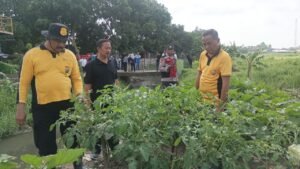 Kapolsek Krian Turun Langsung Cek Ketahanan Pangan di Desa Junwangi 
