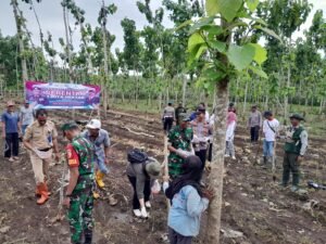 Polresta Banyuwangi Bersama Kelompok Tani Tanam Jagung Serentak Gelorakan Swasembada Pangan