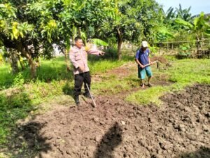 Bhabinkamtibmas Desa Jiken Tulangan Pastikan Optimalisasi Pengolahan Lahan Pangan Bergizi