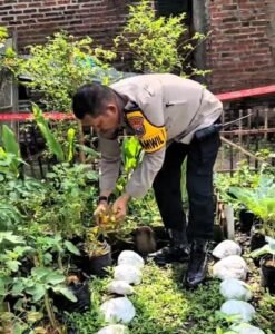 Kapolsek Tulangan Optimalkan Program Ketahanan Pangan di Desa Kepatihan