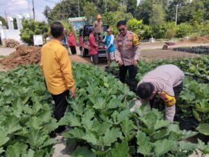 Gotong Royong Distribusikan Bibit Hortikultura di Desa Lemujut