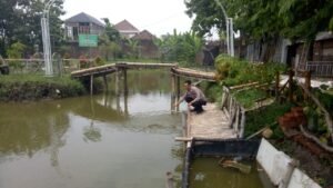 Bhabinkamtibmas Desa Gedang Rowo Polsek Prambon Cek Kesiapan Budidaya Ikan Nila dan Ikan Mujaer