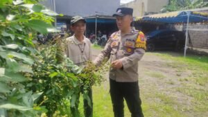 Personel Polsek Taman Tinjau Perkembangan Tanaman Kelengkeng di Desa Tanjungsari untuk Dukung Ketahanan Pangan