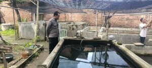 Bhabinkamtibmas Desa Kendalsewu Cek Lahan Ternak Kolam Ikan Lele untuk Dukung Ketahanan Pangan Nasional