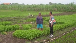 Bhabinkamtibmas Desa Gampang Cek Pekarangan Pangan Bergizi