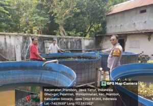 Bhabinkamtibmas Desa Wonoplintahan Cek Ketahanan Pangan Nasional Melalui Budidaya Ikan Gurami