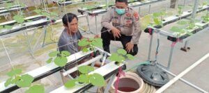 ANGGOTA PATROLI POLSEK TARIK LAKSANAKAN PATROLI DAN PENGECEKAN PERKEBUNAN MELON HIDROPONIK DI DS. GEMPOLKLUTUK