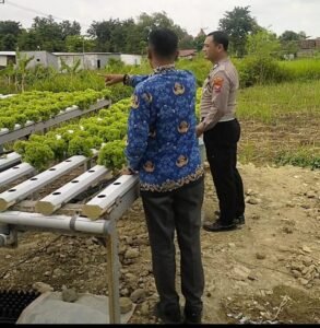 Bhabinkamtibmas Desa Watugolong Tinjau Lahan Hidroponik Selada untuk Ketahanan Pangan Polresta Sidoarjo