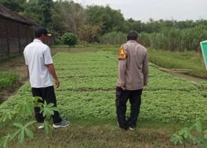 Bhabinkamtibmas Desa Pejangkungan Dukung Ketahanan Pangan Polresta Sidoarjo