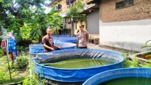 Polsek Tulangan Cek Program Ketahanan Pangan Budidaya Ikan Lele di Desa Krembangan