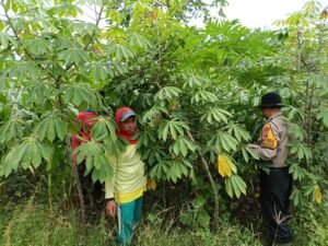 Dukung Ketahanan Pangan, Polsek Balongbendo Masif Turun ke Warga