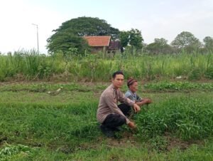 Bhabinkamtibmas Desa Jedong Cangkring Pantau Tanaman Sayur Desa Jedong Cangkring