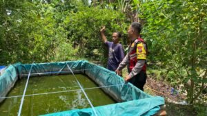 Ubah Lahan Tidur Menjadi Tempat Budidaya Perikanan di Desa Jabaran Balongbendo
