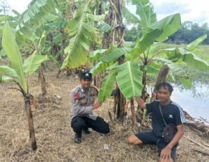Polisi Edukasi Warga Tanam Pisang untuk Swasembada Pangan Mandiri