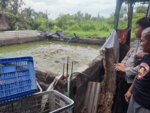 Warga Tanggulangin Bikin Kolam Budidaya Ikan Lele di Lahan Rumah Diapresiasi Polisi