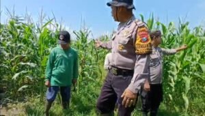 Kapolsek Balongbendo Cek Lahan Tidur Milik Bumdes untuk Ketahanan Pangan