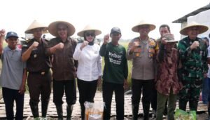 Pemkab Sidoarjo Ikuti Panen Raya Padi Serentak bersama Presiden di Desa Kemuning, Tarik
