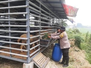 Bhabinkamtibmas Sidomojo Ajak Warga Maksimalkan Perawatan Ternak Kambing Demi Dukung Ketahanan Pangan