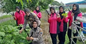 Bhayangkari Ranting Polsek Krian Melaksanakan Panen Raya P2L di Desa Ponokawan