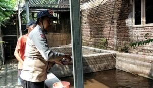 Budidaya Ikan Nila Warga Desa Terung Wetan Dukung Asta Cita Presiden Prabowo di Sektor Ketahanan Pangan