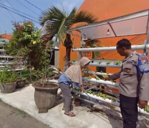 Bhabinkamtibmas Desa Sumorame Bersinergi dengan Ketua Bumdes Giatkan Tanaman Sawi Hidroponik