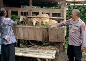 Warga Desa Mulyodadi Manfaatkan Lahan Kosong untuk Beternak Kambing, Dapat Dukungan dari Bhabinkamtibmas