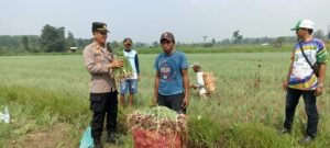 Kapolres Pasuruan, AKBP Jazuli Dani Iriawan: Polri Harus Terlibat Aktif di Sektor Pangan  