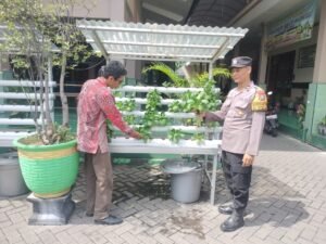 Bhabinkamtibmas Desa Tenggulunan Berikan Penyuluhan Hidroponik untuk Dukung Ketahanan Pangan