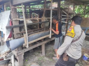 Sinergi Kepolisian dan Warga Kembangkan Program Ketahanan Pangan di Tanggulangin Sidoarjo