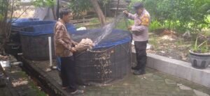 Bhabinkamtibmas Desa Wedoro Dorong Ketahanan Pangan Lewat Penyuluhan Budidaya Ikan Patin