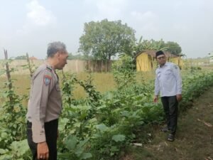 Jalankan Program Asta Cita Presiden, SDN Kedung Sugo I Manfaatkan Lahan Kosong untuk Ketahanan Pangan